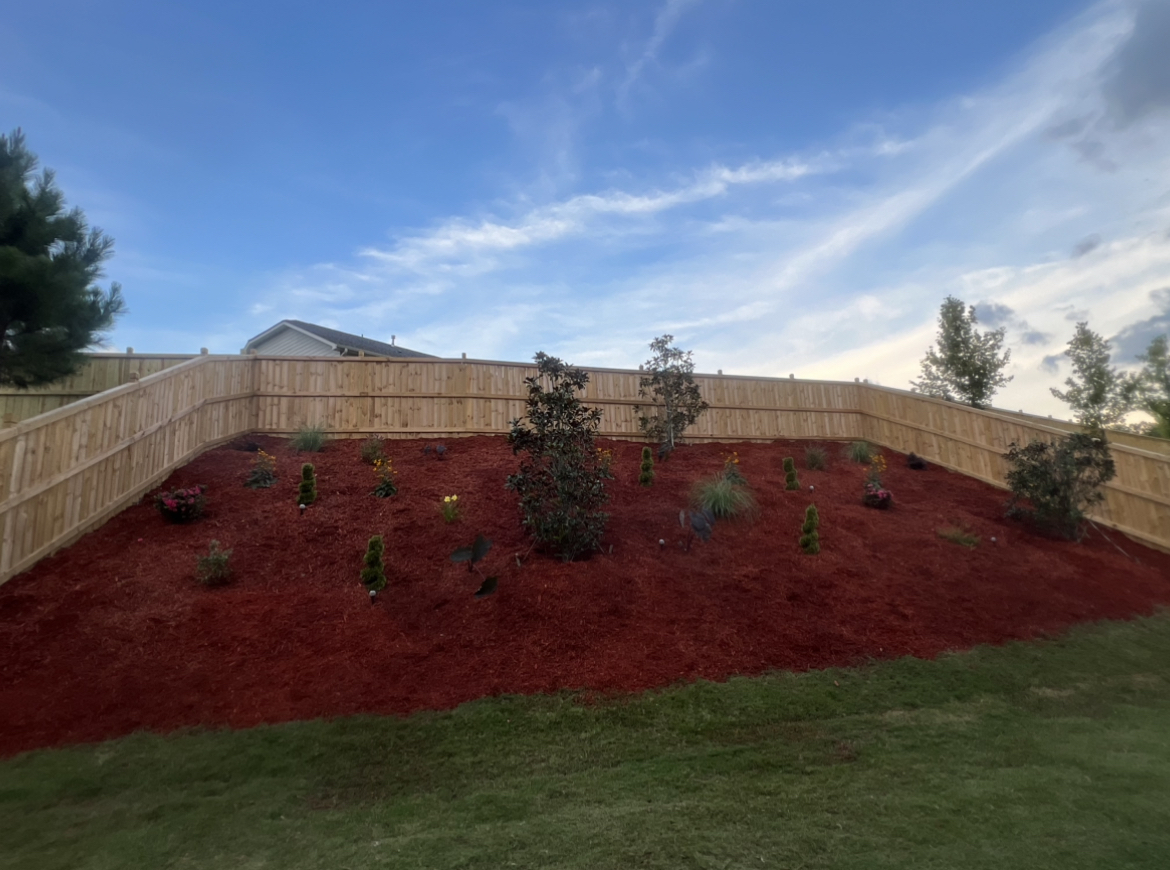 2D3833B5-35E0-467E-AACC-7FA1A26E455B