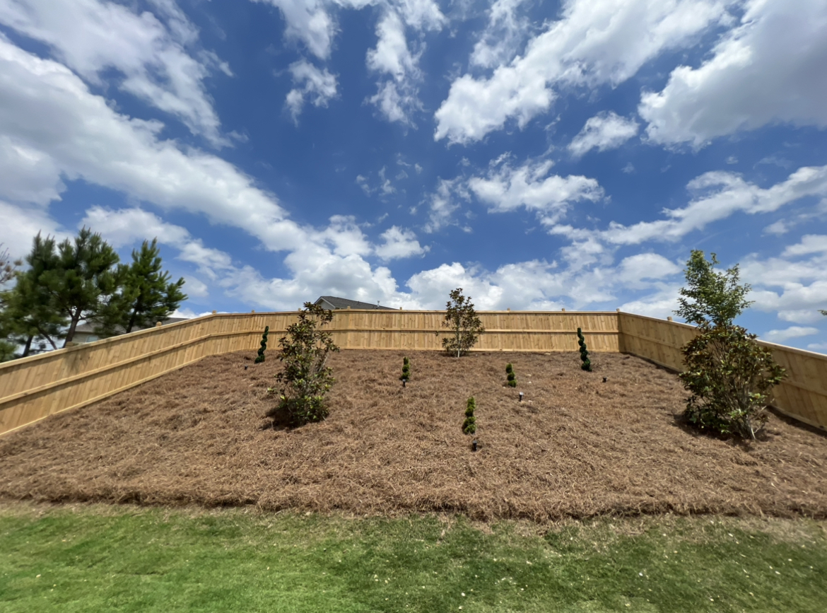 B94D9EBC-E854-4CF3-9522-802FFD9F0943